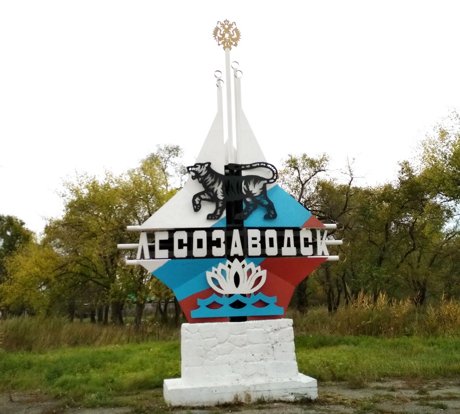 Город Лесозаводск.