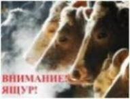 ПАМЯТКА ЯЩУР.