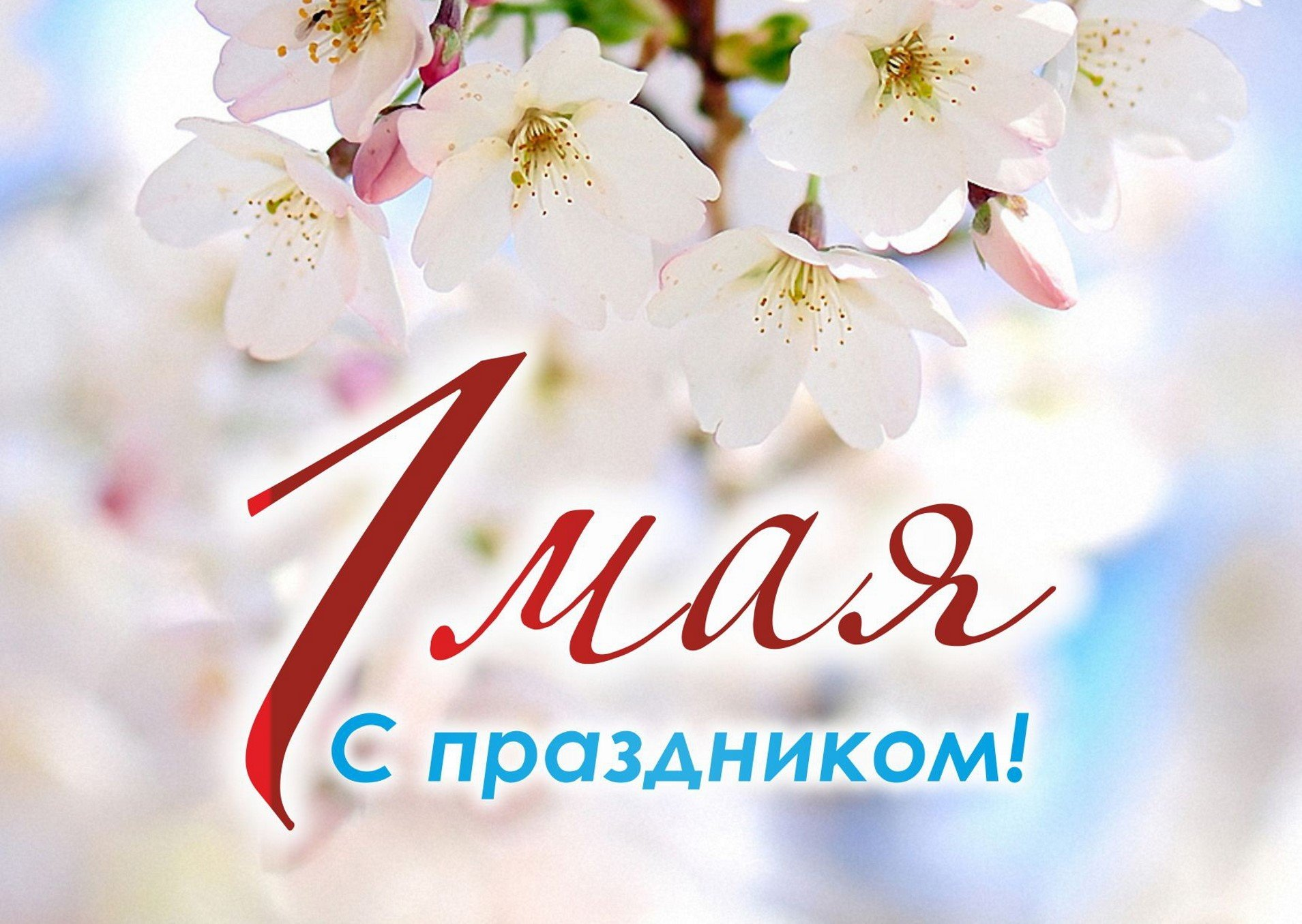 Концертная программа «Встречай Первомай!».