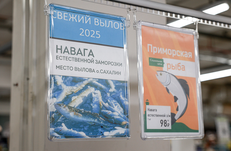 О СОЦИАЛЬНОЙ ПРОГРАММЕ «ПРИМОРСКАЯ РЫБА».