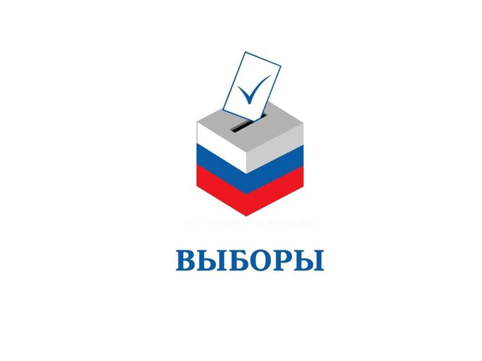 Выборы депутатов Думы Лесозаводского городского округа.