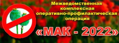 Итоги оперативно-профилактической операции «Мак-2022».